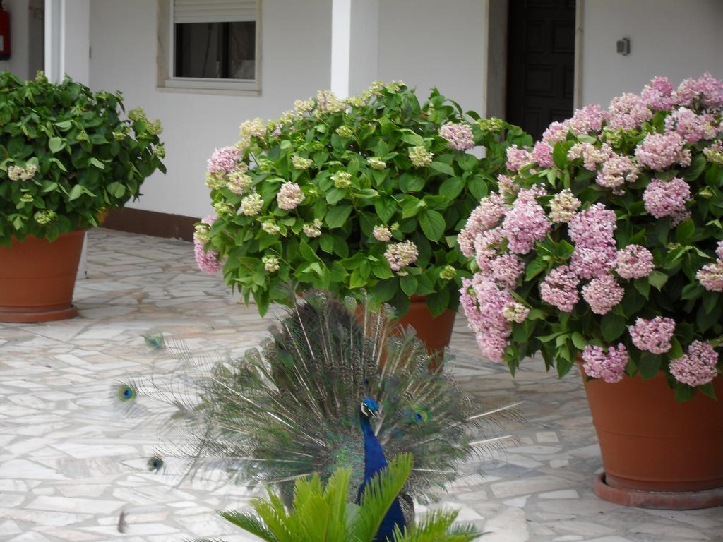 Lobateira Villas Fernão Ferro Exterior foto